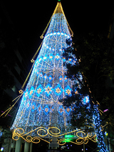 浜松駅周辺のクリスマスツリー