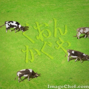 牛と牧草