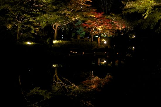 神奈川県立大磯城山公園の紅葉ライトアップにて 20111126