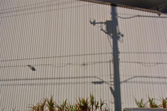 倉庫の壁に映る電信柱の影