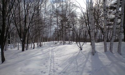 歩くスキー