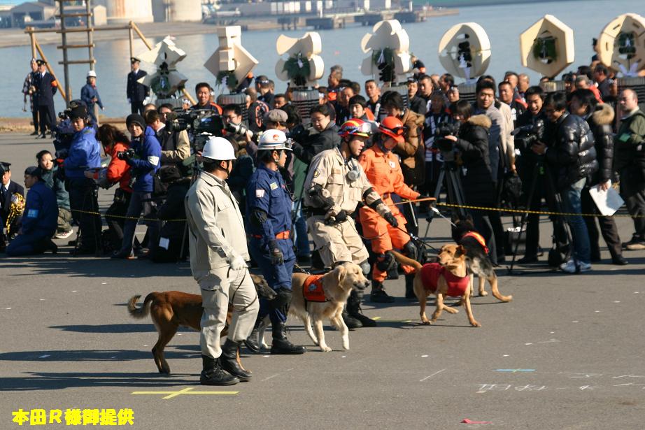 東京消防出初式・災害救助犬徒列行進