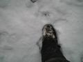 snow_footstep.jpg