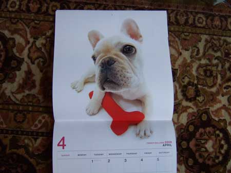 THE　DOGカレンダー６