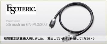 6N-PC53001.jpg