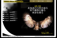 Tanaka Nature Photo Guide公式サイト