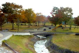 直江堤公園の写真１