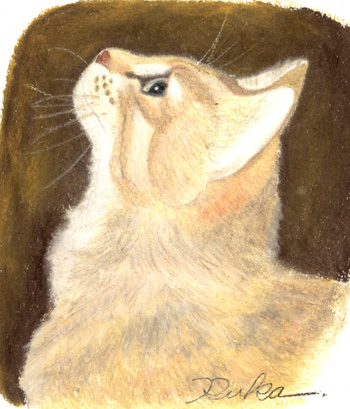 オイルパステルで猫を描く | イラストレーター☆くるみ るか