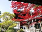 秋の東福寺の雰囲気